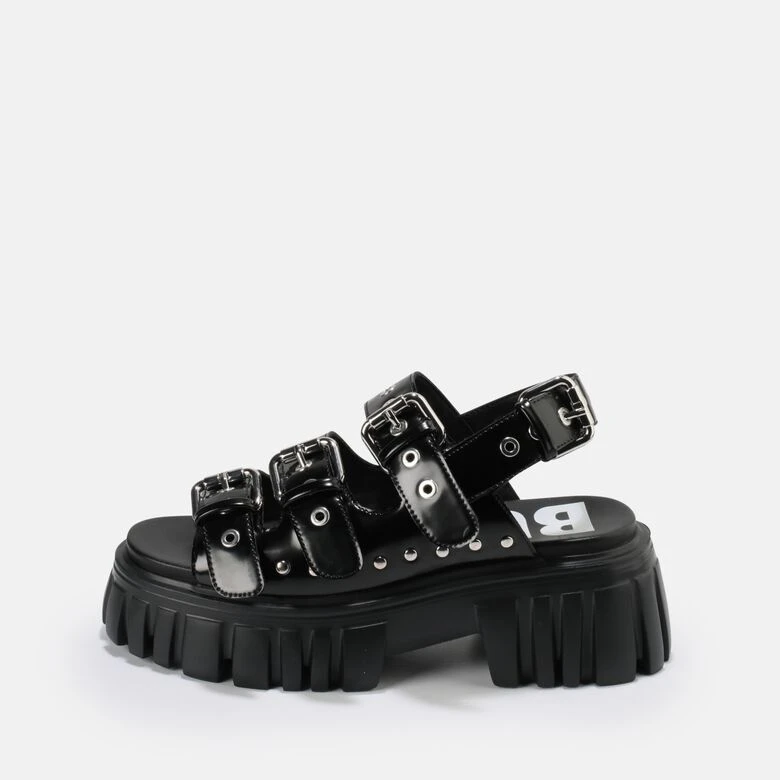 Buffalo Lion Hard 1 Buffalo Lion Hard