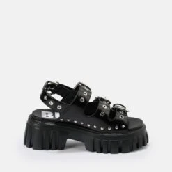 Buffalo Lion Hard 13 Buffalo Lion Hard -Outlet BUFFALO Store 2017862 P7