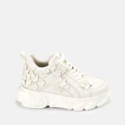 Buffalo CLD Corin Daisies