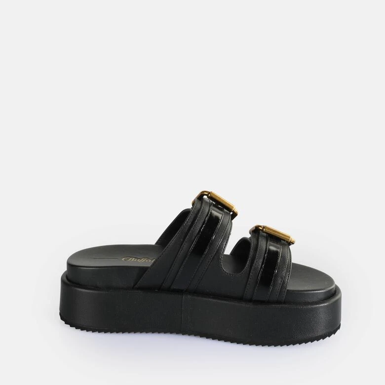 Buffalo Noa Ari 6 Buffalo Noa Ari – Bild 6