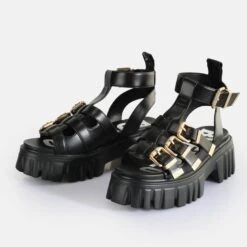 Buffalo Lion Teeth 10 Buffalo Lion Teeth -Outlet BUFFALO Store 2159693 P4