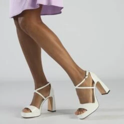 Buffalo Cherry Neat -Outlet BUFFALO Store 2159743 P2