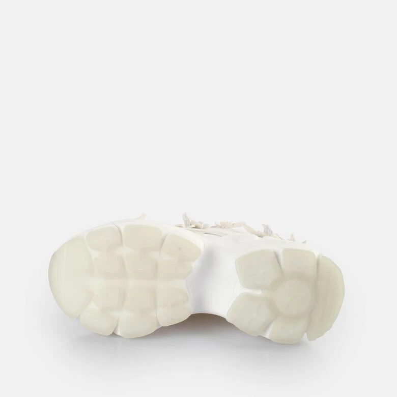 Buffalo Binary Butterfly 5 Buffalo Binary Butterfly – Bild 5