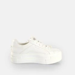 Buffalo Paired Dove -Outlet BUFFALO Store 2177070 P6